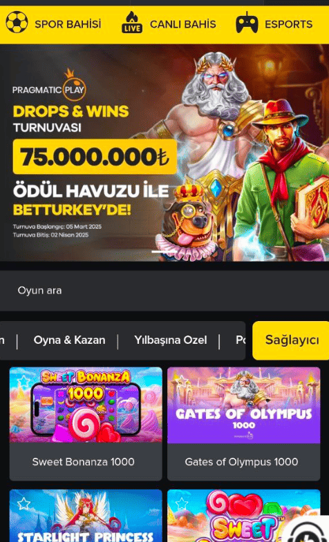 Popüler Oyun Sağlayıcılarına Genel Bakış